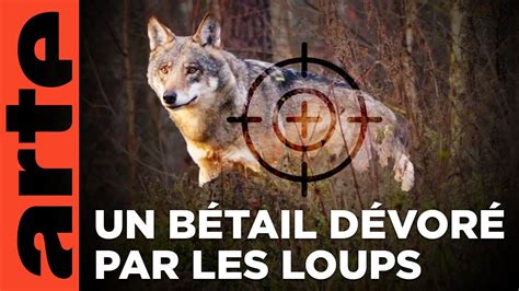 ARTE Regards Jura, qui a peur du loup.